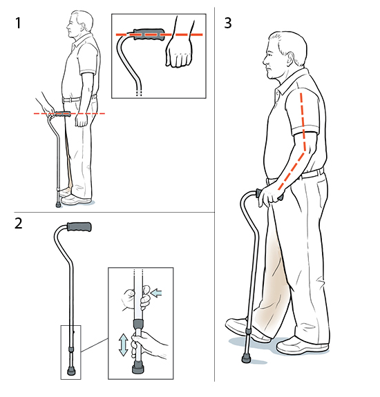 3 pasos para ajustar un bastón.