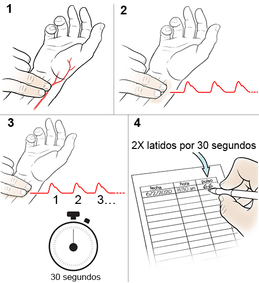 4 pasos para tomarse el pulso en la muñeca